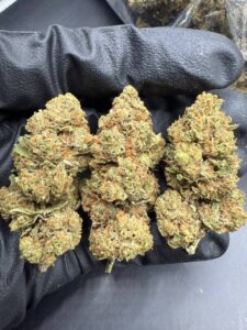 Bubble Bath Strain bubble bath strain