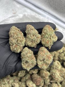 peanut butter cup strain