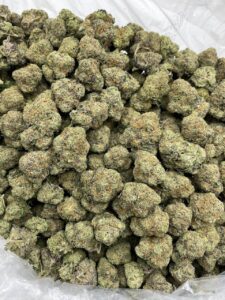 frozen starburst strain