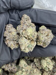 pop rock dock strain