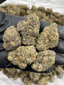 pink rozay weed strain