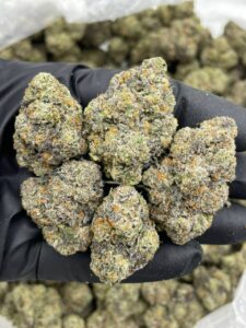 chocolate chip cookies strain