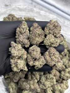 Garanimals Weed Strain garanimals weed strain