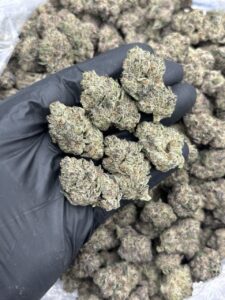 dirty sprite weed strain