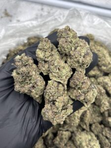 laffy taffy weed strain