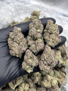pie scream weed strain