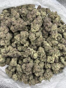 pie scream weed strain