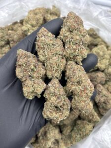 pure michigan weed strain