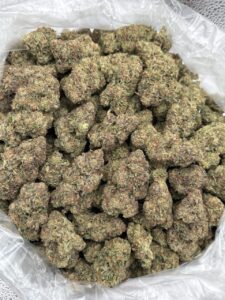 pure michigan weed strain
