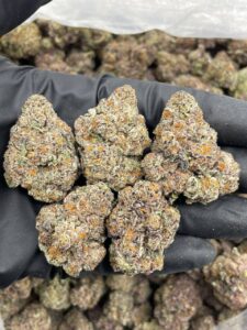 bubblegum weed strain