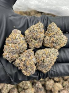 rainbow sharpie weed strain