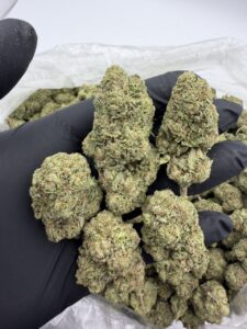 zour watermelon weed strain