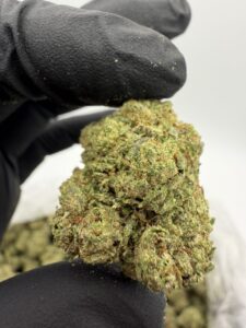 zour watermelon weed strain