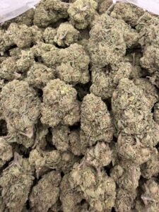 zour watermelon weed strain