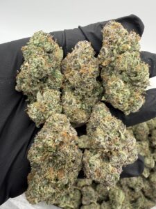 blue gumbo weed strain