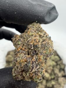 frosted nerds weed strain