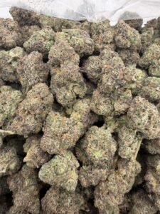 frosted nerds weed strain