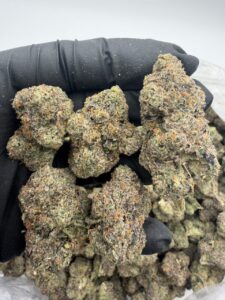 frosted nerds weed strain