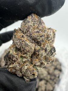 starburst weed strain