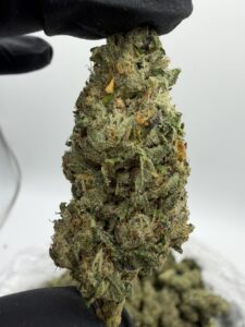 jet fuel runtz weed strain