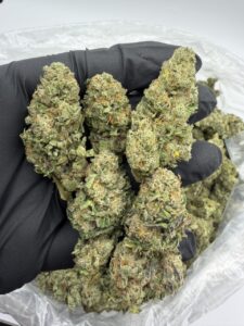 jet fuel runtz weed strain