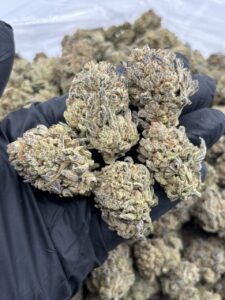 white trufflez weed strain