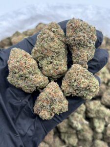 cherry draco weed strain