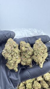 gas mask weed strain