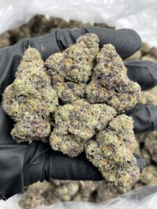 alien candy weed strain