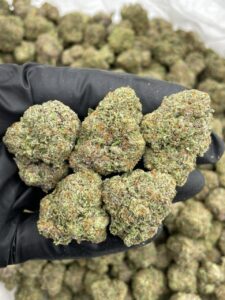 cream soda weed strain