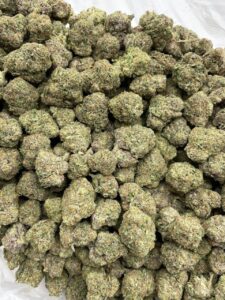 cream soda weed strain