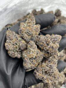 atomic weed strain