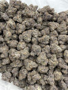 atomic weed strain