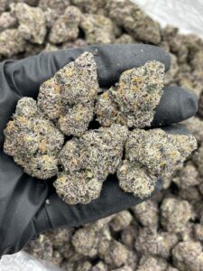 midnight runtz weed strain