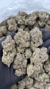 blueberry smoothie strain