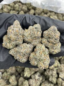 nuclear cherries weed strain