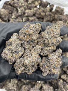 blackberry weed strain