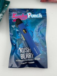 kushy punch 1g disposable