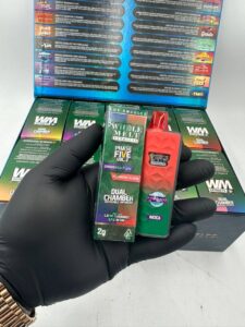 whole melt phase five v2 2g disposable