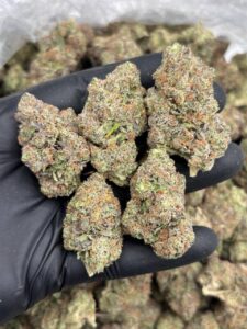 zalani weed strain