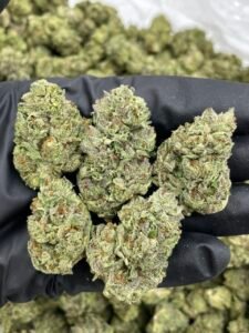 London Pound Cake Weed Strain london pound cake weed strain