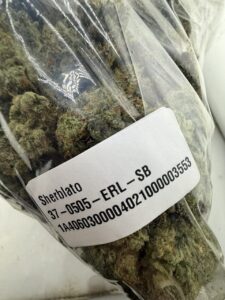 Sherblato Weed Strain sherblato weed strain