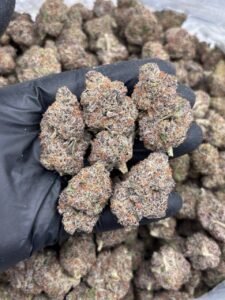 cotton candy kush weed strain