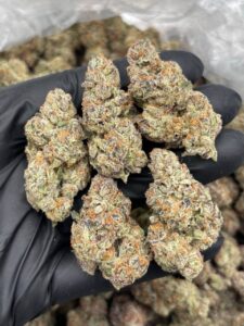 zang banger weed strain