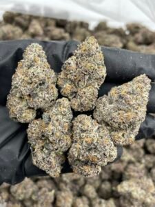 push pop weed strain