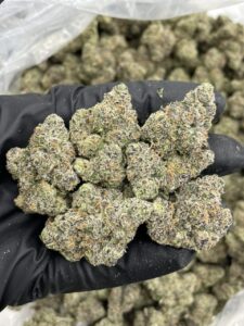snake venom weed strain