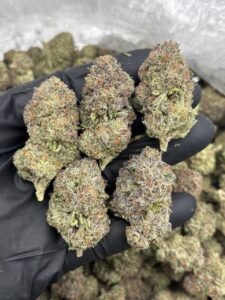 Pink Runtz Weed Strain pink runtz weed strain