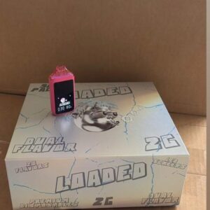 loaded 2g disposable