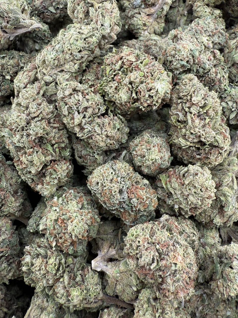 sour gummy strain sour gummy strain