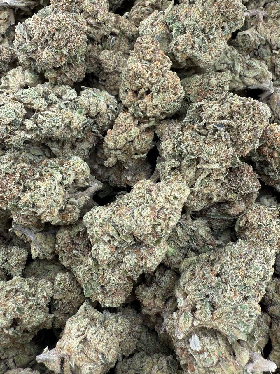 cheetah piss weed strain cheetah piss weed strain